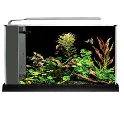 Fluval Spec V Aquarium 5 gal