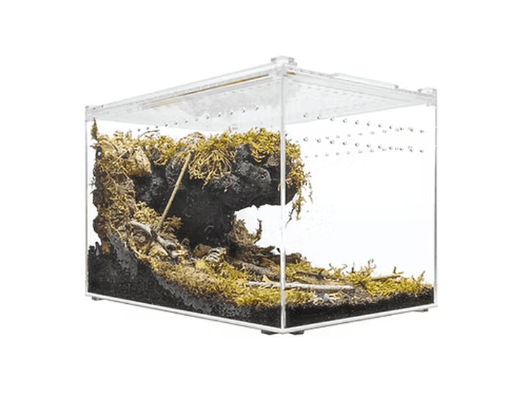 Herpcult Acrylic Enclosure Large Clear Top 12"x8"x8" Herpcult