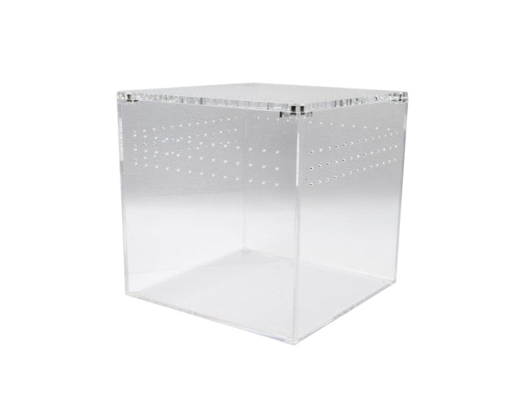 Acrylic Habitat 12x12x12