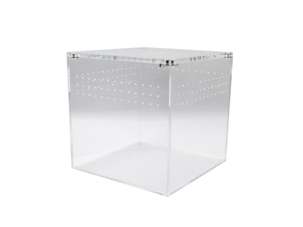 Acrylic Habitat 6x6x6