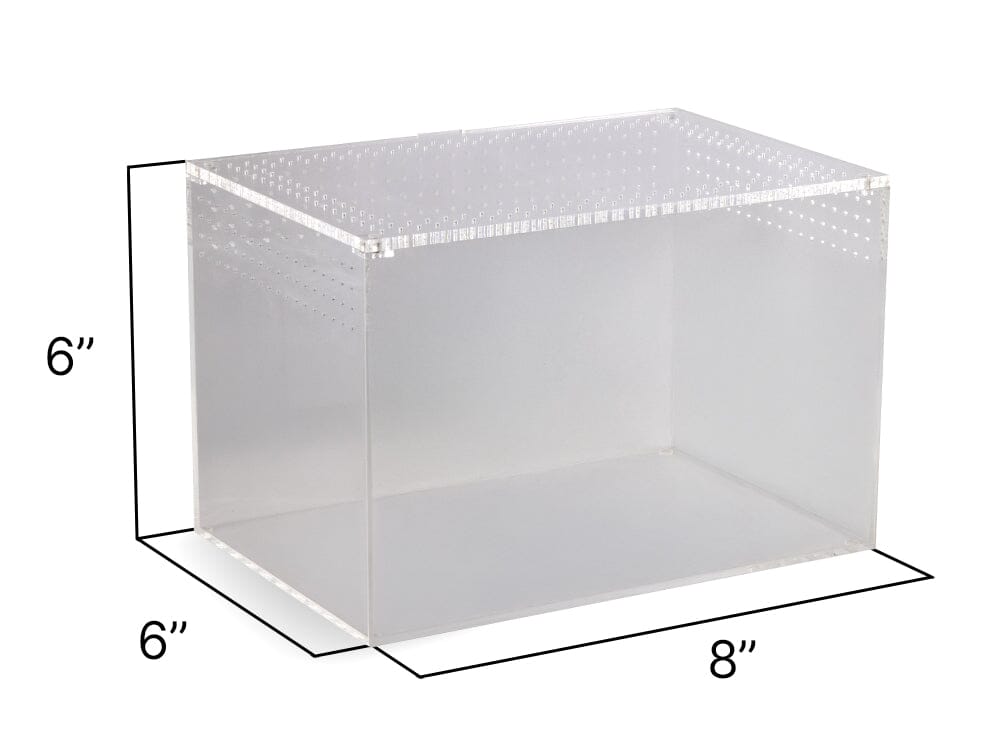 Acrylic Habitat 8x6x6