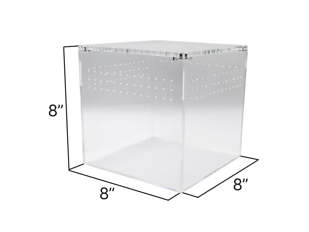 Acrylic Habitat 8x8x8