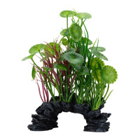 Fluval Aqualife Deco Scapes Green Lysimachia Mix