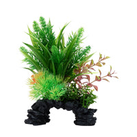 Fluval Aqualife Deco Scapes Ludwigia/Sagittarius Mix