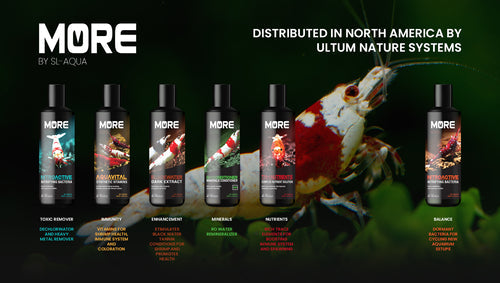 MORE NITROACTIVE Nitrifying Bacteria For Sulawesi Shrimp [SL Aqua] 250ml