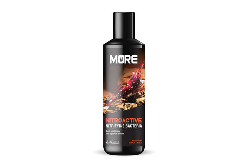 MORE NITROACTIVE Nitrifying Bacteria For Sulawesi Shrimp [SL Aqua] 250ml