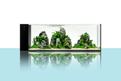 UNS 90LA Rimless Aquarium (21.4GAL) AIO