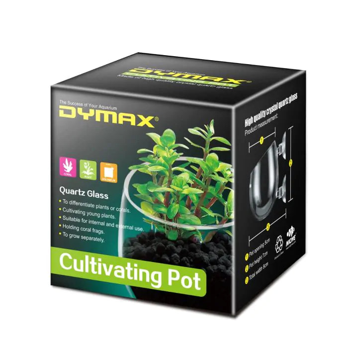 Dymax Crystal Cultivating Pot