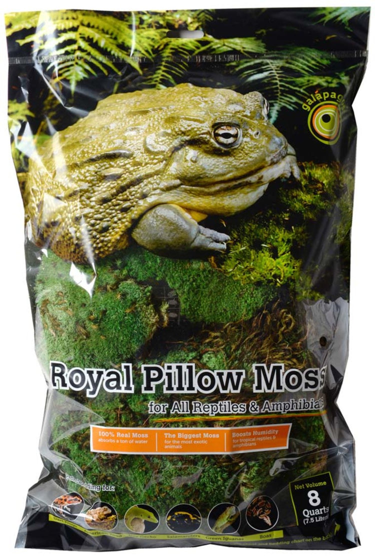 Galapagos Royal Pillow Moss 8qt
