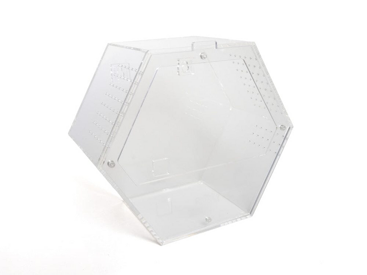 Acrylic Enclosure Hexagon (Large)