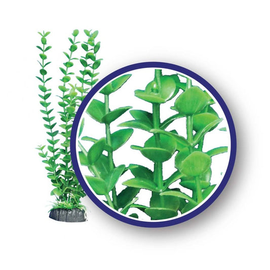 Weco Bacopa Aquarium Plant 18"