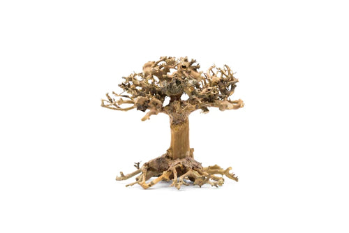 Bonsai Aquarium Driftwood - Extra Small 103XS