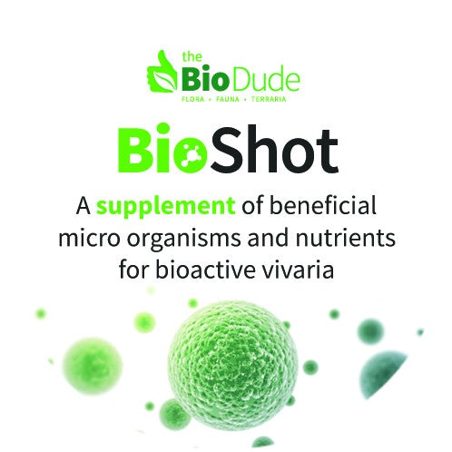 BioDude Bio Shot 6qt
