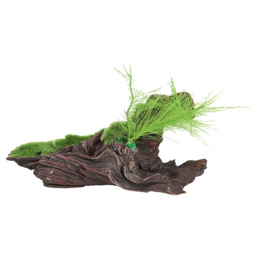 Fluval Decor Black Root w/Moss 7x4.3x5.5 (medium)