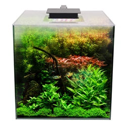 Fluval Flora Aquarium Kit