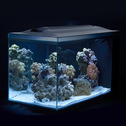 Fluval Sea Evo XII Aquarium Kit, 12 gal (box says 13.5 gal)