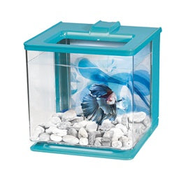 Marina EZ Care Betta Kit Blue