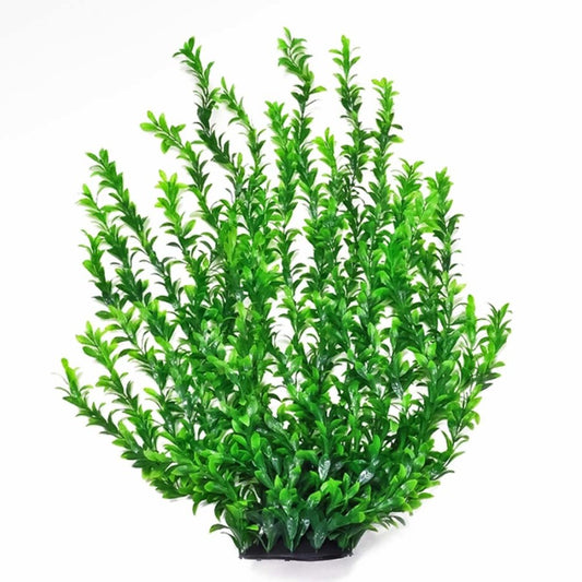 Aquatop Broad Leaf Aquarium Plant