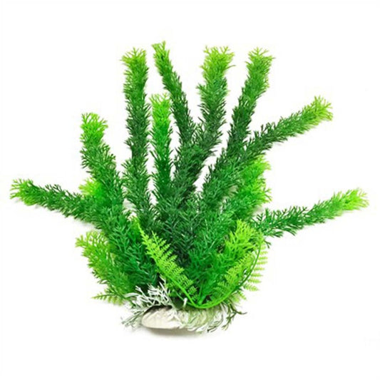 Aquatop Cabomba Aquarium Plant