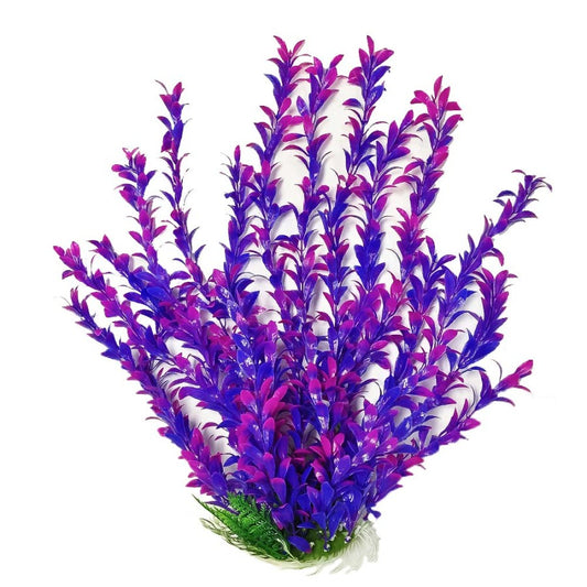 Aquatop Hygro Aquarium Plant- Pink/Purple  20 in