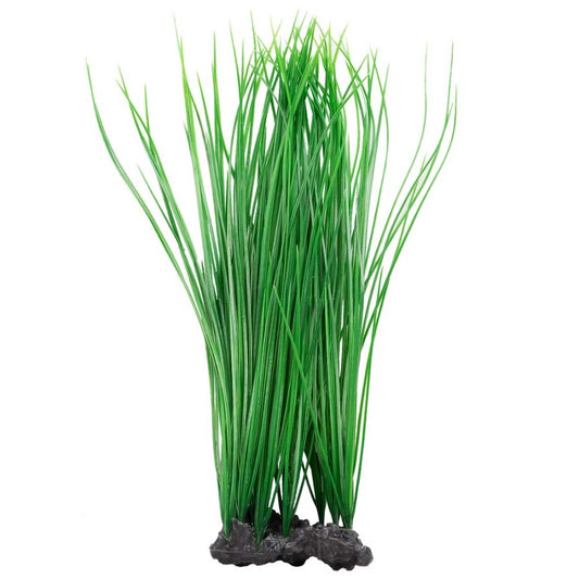 Aquatop Onion Grass Aquarium Plant Green16 in