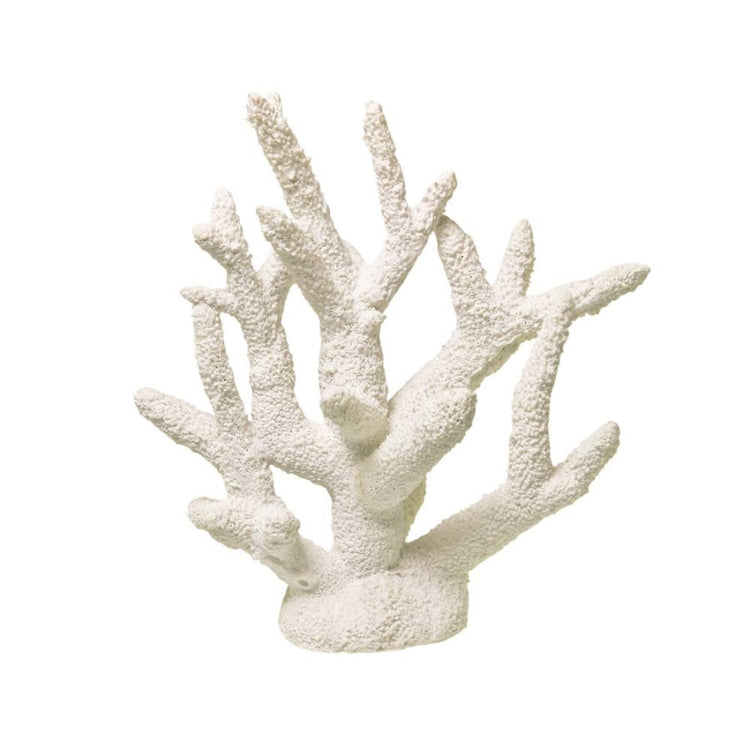 Blue Ribbon Staghorn Coral White 10 in
