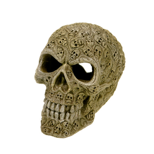 Blue RibbonHaunted Skull- Small