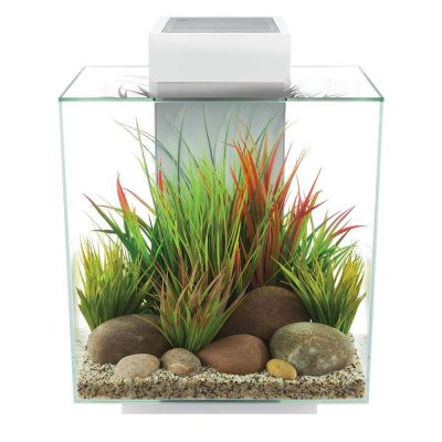 Fluval Edge 2.0 12 Gallon Aquarium White