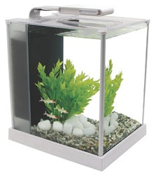 Fluval Spec III 2.6 gal, White