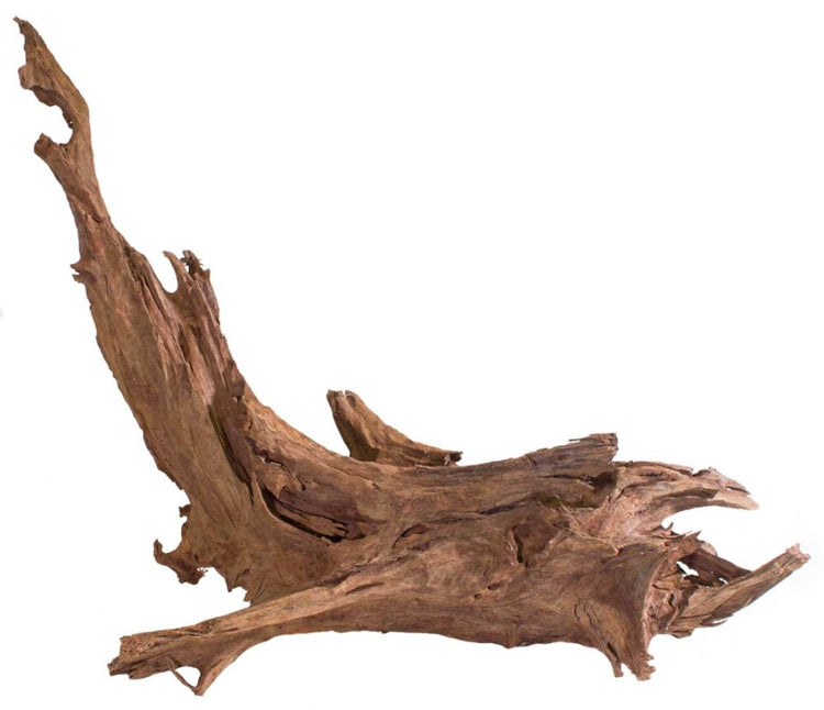 Galapagos Sinkable Driftwood Brown 14 In - 16 in, Medium Large