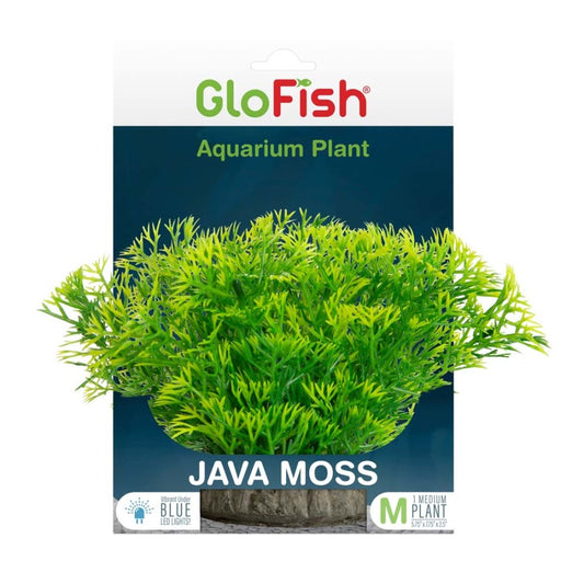 GloFish Java Moss Aquarium Plant Green Medium