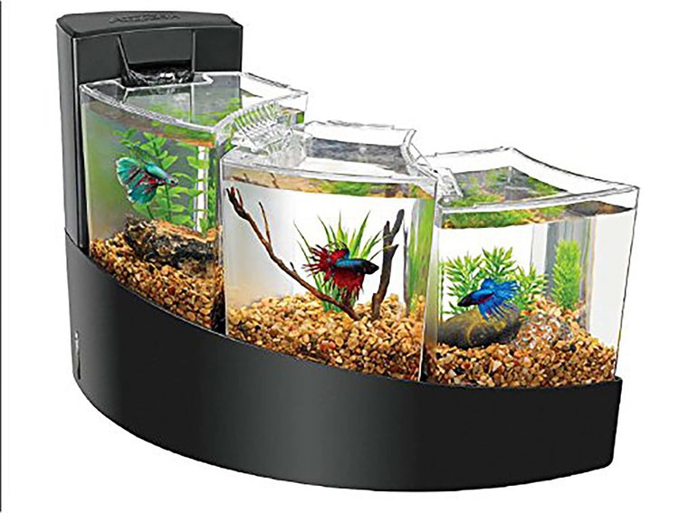 Aqueon Betta Falls Kit Black