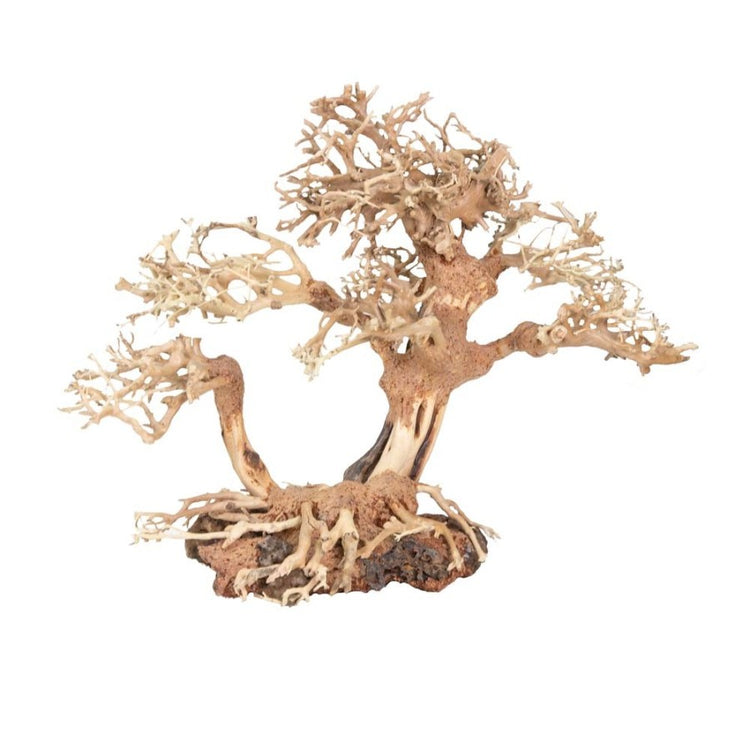 Zoo Med Dragon Bonsai Tree Aquatic Ornament 1ea/Medium