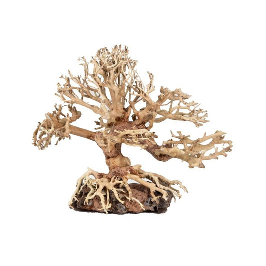 Zoo Med Dragon Bonsai Tree Aquatic Ornament 1ea/Small