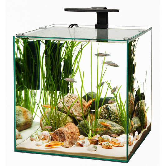 Aqueon Frameless Cube Aquarium 14 Gallon