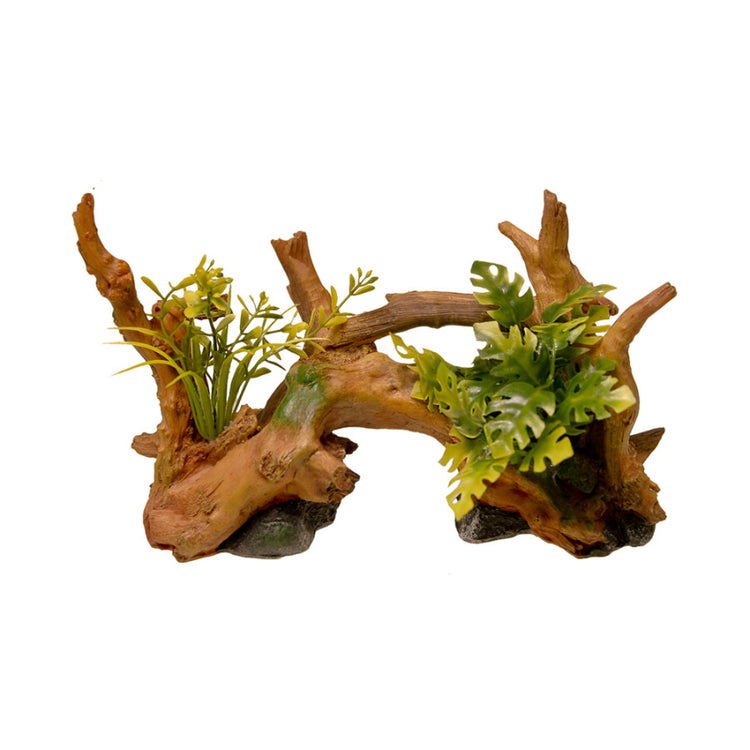 Blue Ribbon Centerpiece Driftwood with Plants- Small